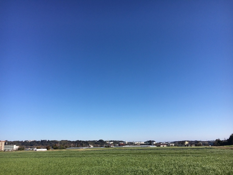 ⭕️空部→ 今日の空（≧∇≦）‼️1051.