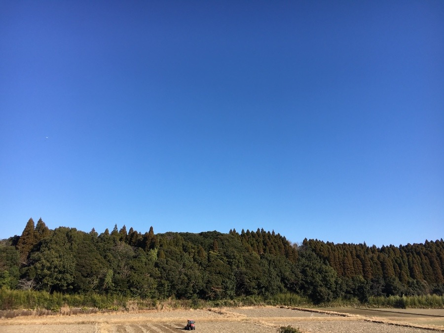 ⭕️空部→ 今日の空（≧∇≦）‼️1023.