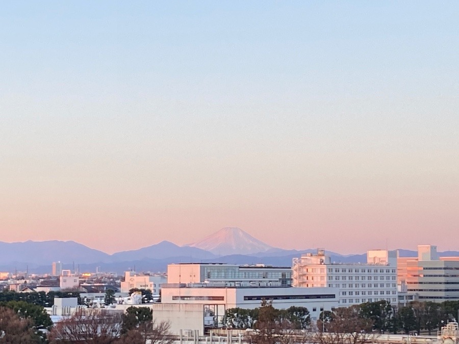 今朝の富士山