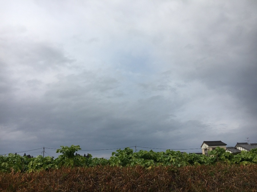 ⭕️空部→ 今日の空（≧∇≦）‼️1006.