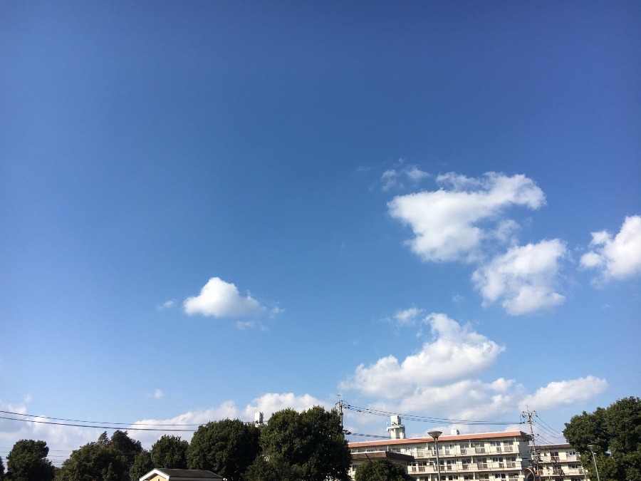 ⭕️空部→ 今日の空（≧∇≦）‼️1053.