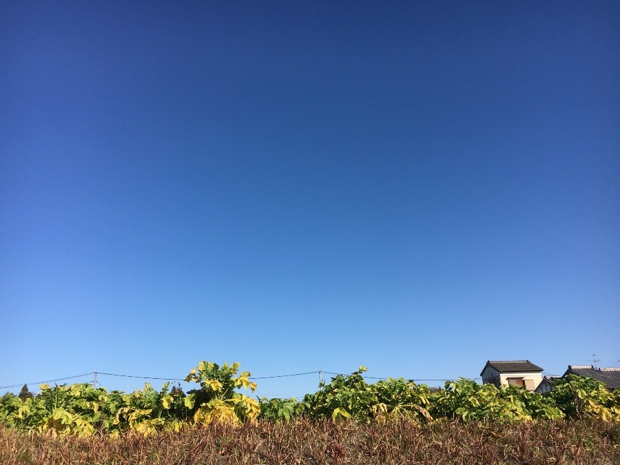 ⭕️空部→ 今日の空（≧∇≦）‼️1033.