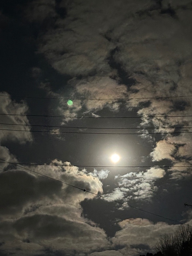 今朝の月は満月でした🌕