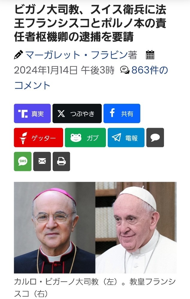 教皇フランシスコ、逮捕の要請‼️とっくに居ないけどね‼️