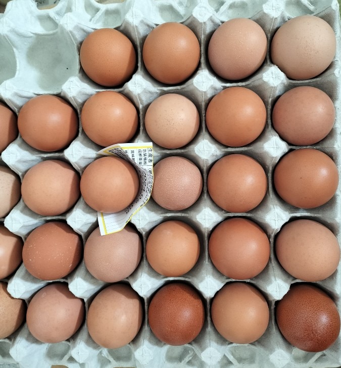秋川牧園の卵。子供に食べさせたい、最高の安心安全。