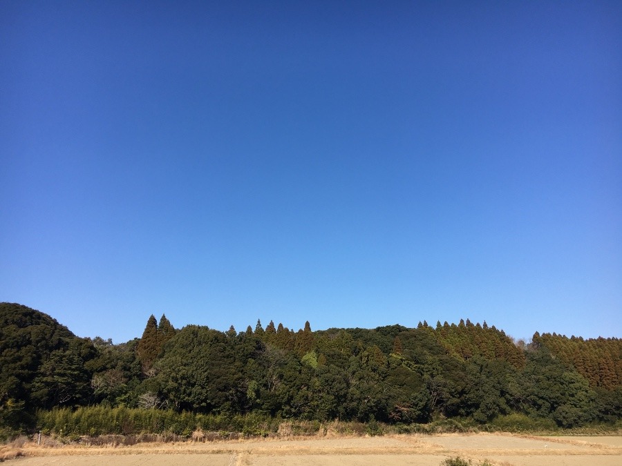 ⭕️空部→ 今日の空（≧∇≦）‼️1027.