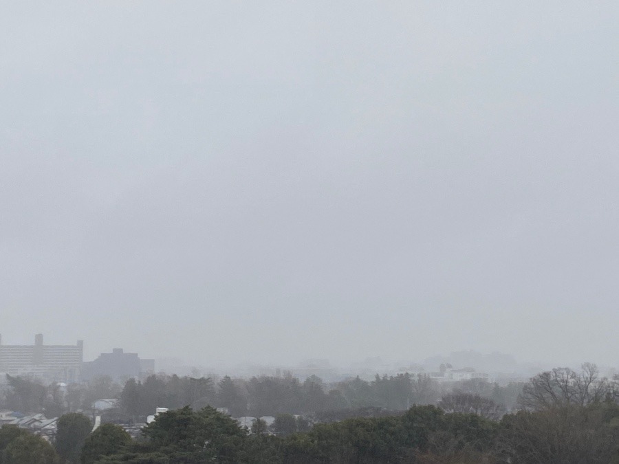 今朝の朝日は見られません　寒い雨雲の中