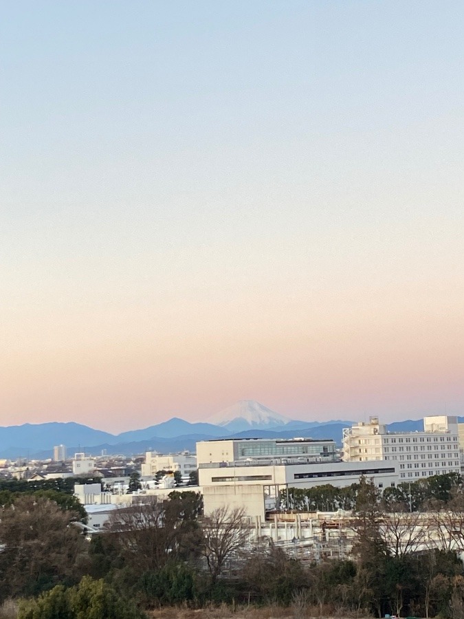 今朝の富士山