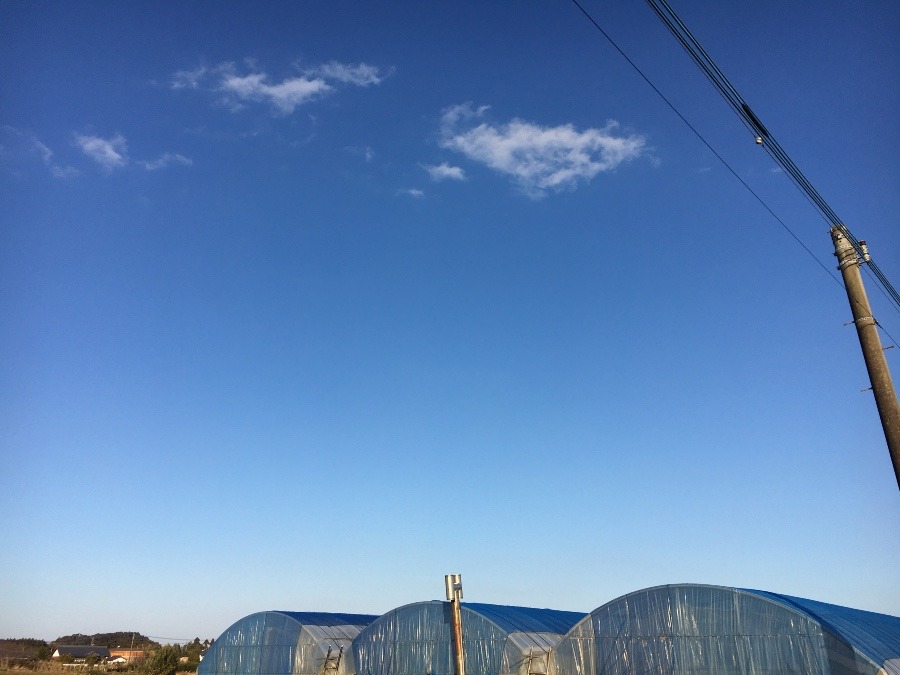 ⭕️空部→ 今日の空（≧∇≦）‼️1030.