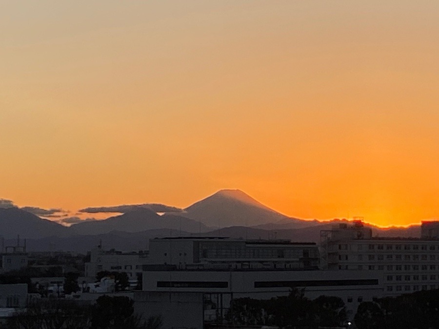 夕日の観察3