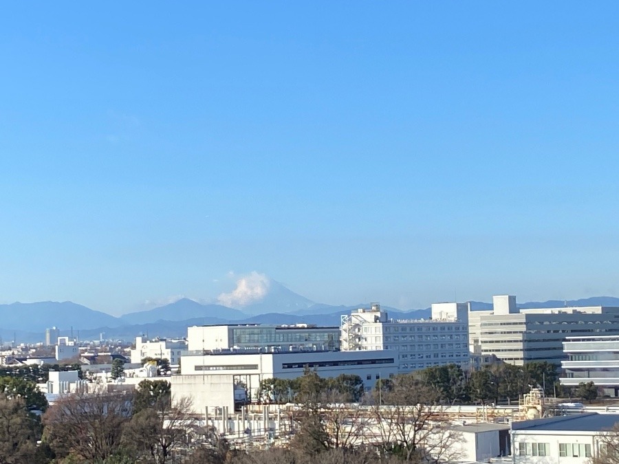 今朝の富士山