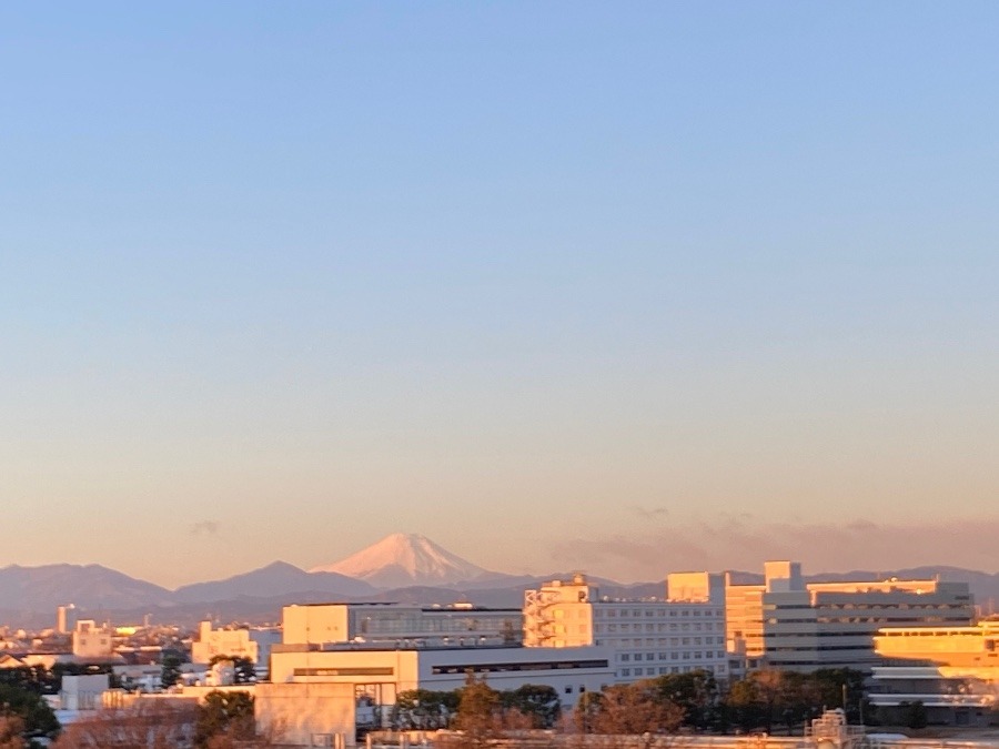 今朝の富士山