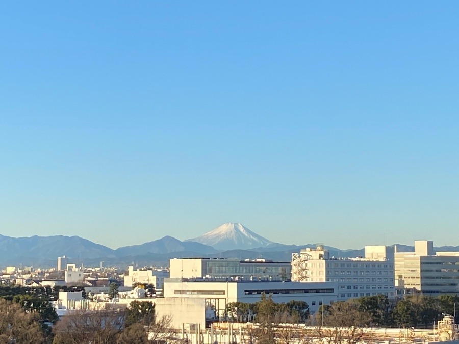 今朝の富士山は、きれいな空色の中にしっかり見えます