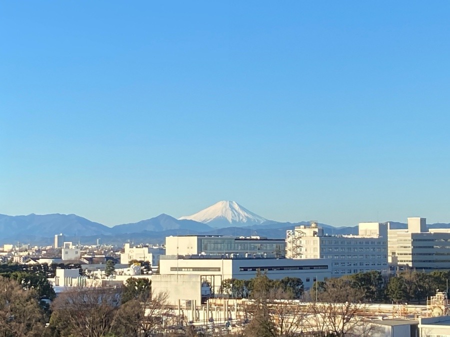 今朝の富士山