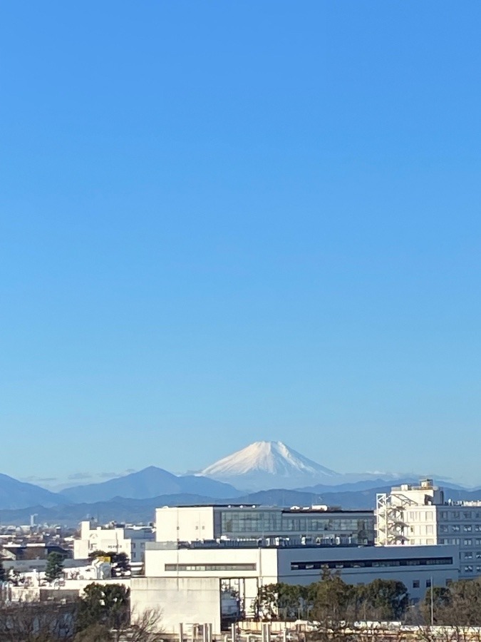 今朝の富士山