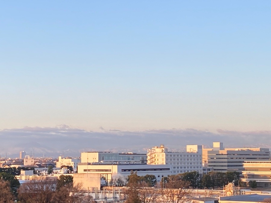 今朝の富士山