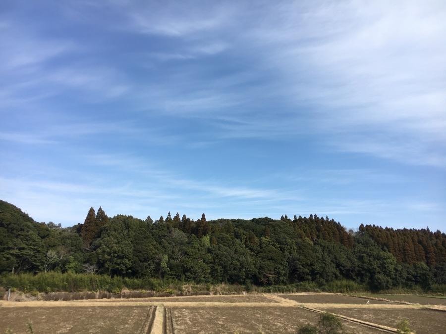 ⭕️空部→ 今日の空（≧∇≦）‼️1074.