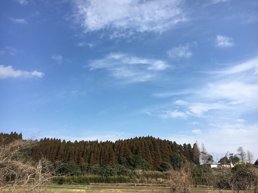 ⭕️空部→ 今日の空（≧∇≦）‼️1084.