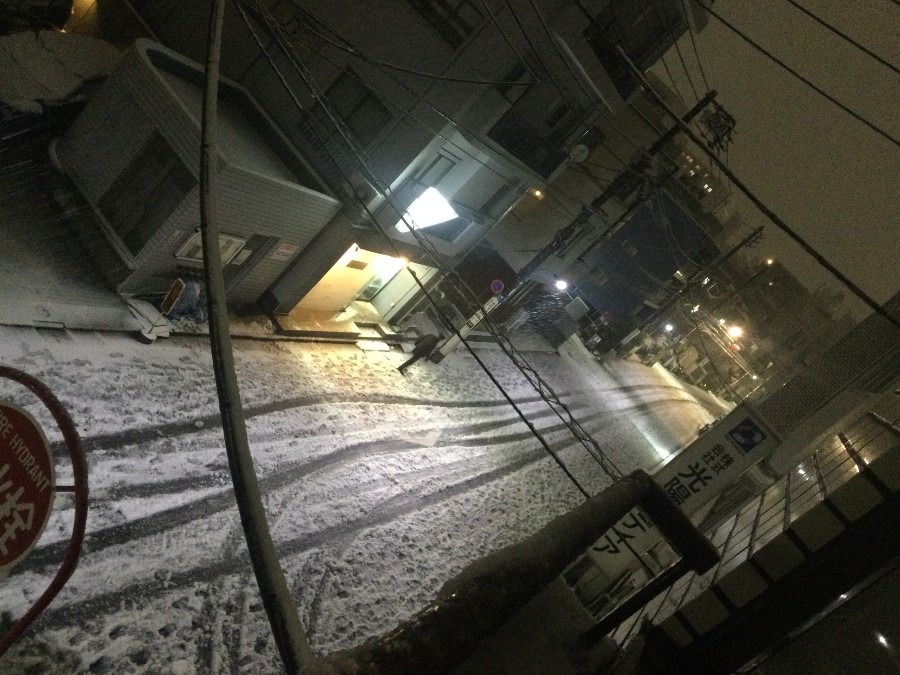 都心の雪