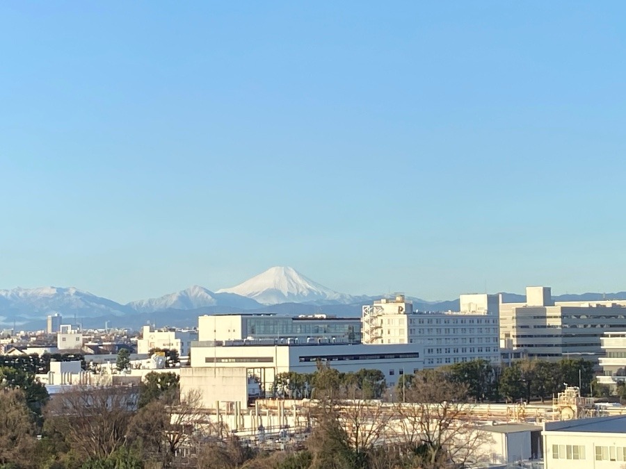 今朝の富士山