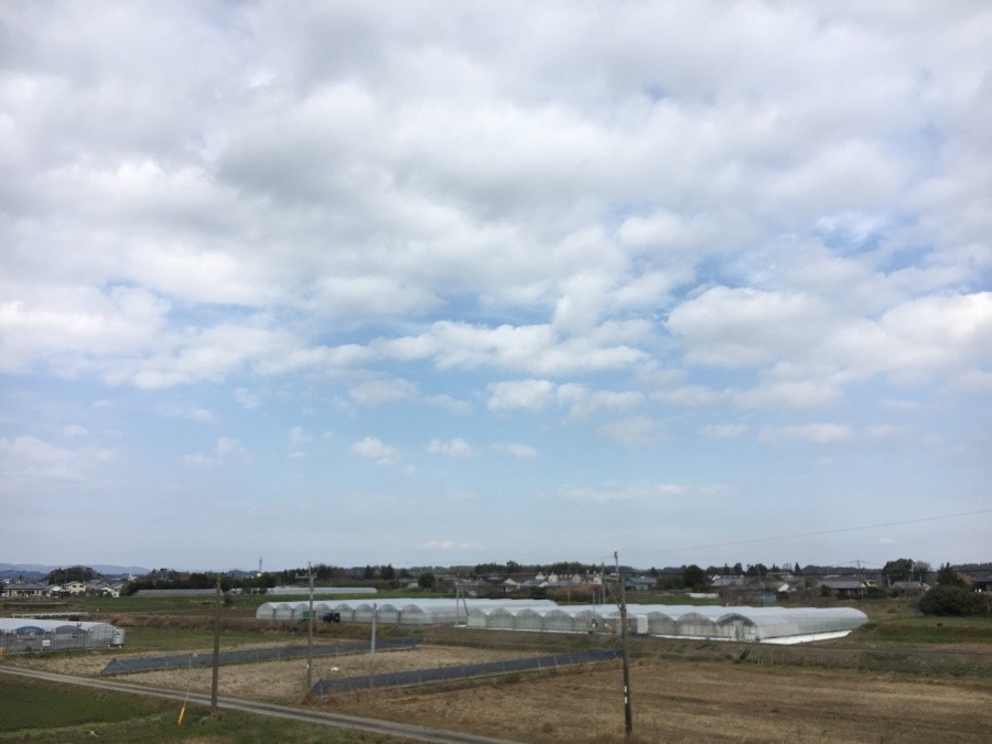 ⭕️空部→ 今日の空（≧∇≦）‼️1089.