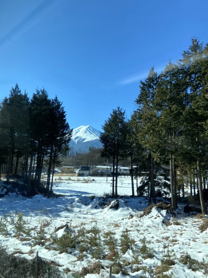 こんな富士山も気に入っています