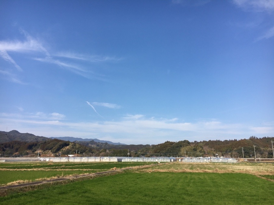 ⭕️空部→ 今日の空（≧∇≦）‼️1091.