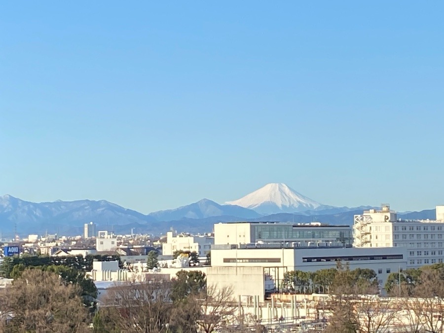 今朝の富士山