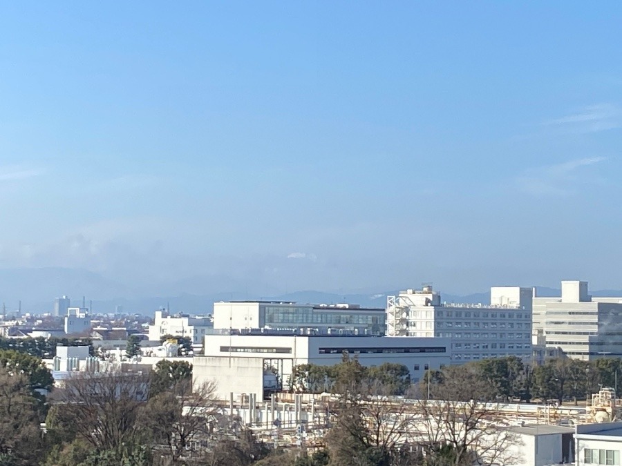 今朝の富士山