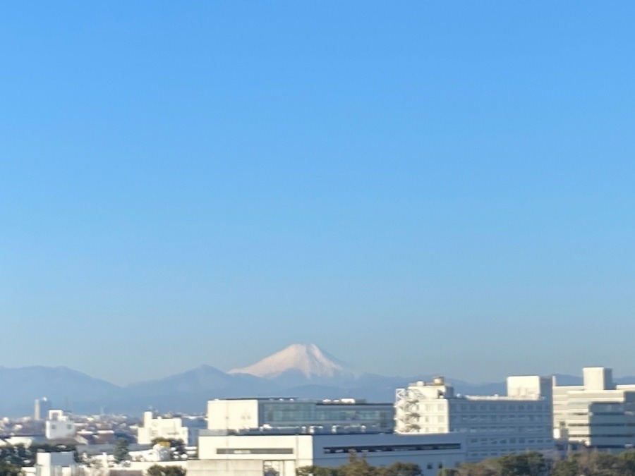 今朝の富士山