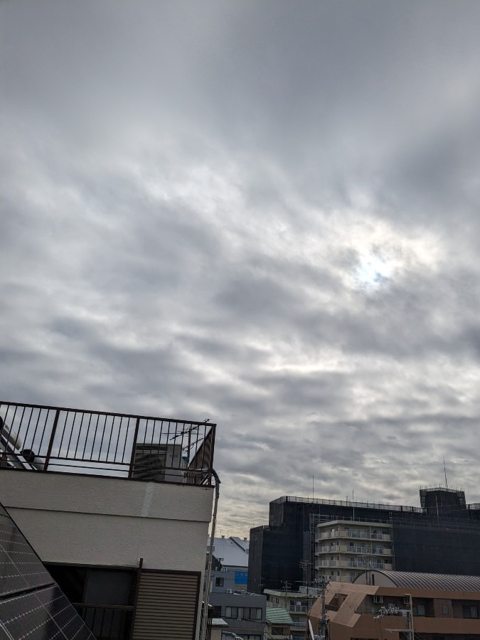 おはようございます❢