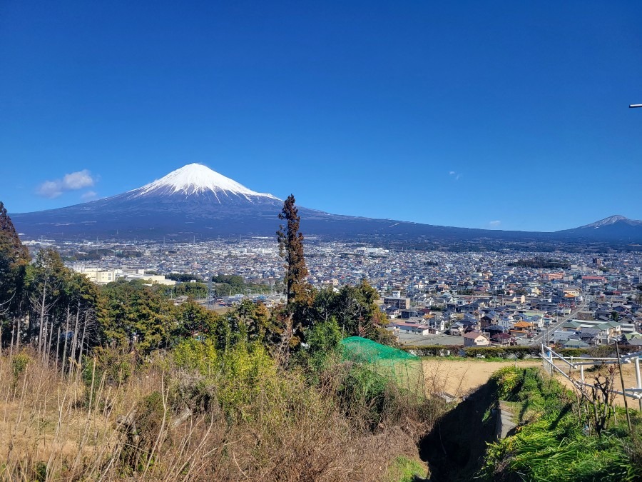 桂の森キャンプ場から見た富士市内と富士山
