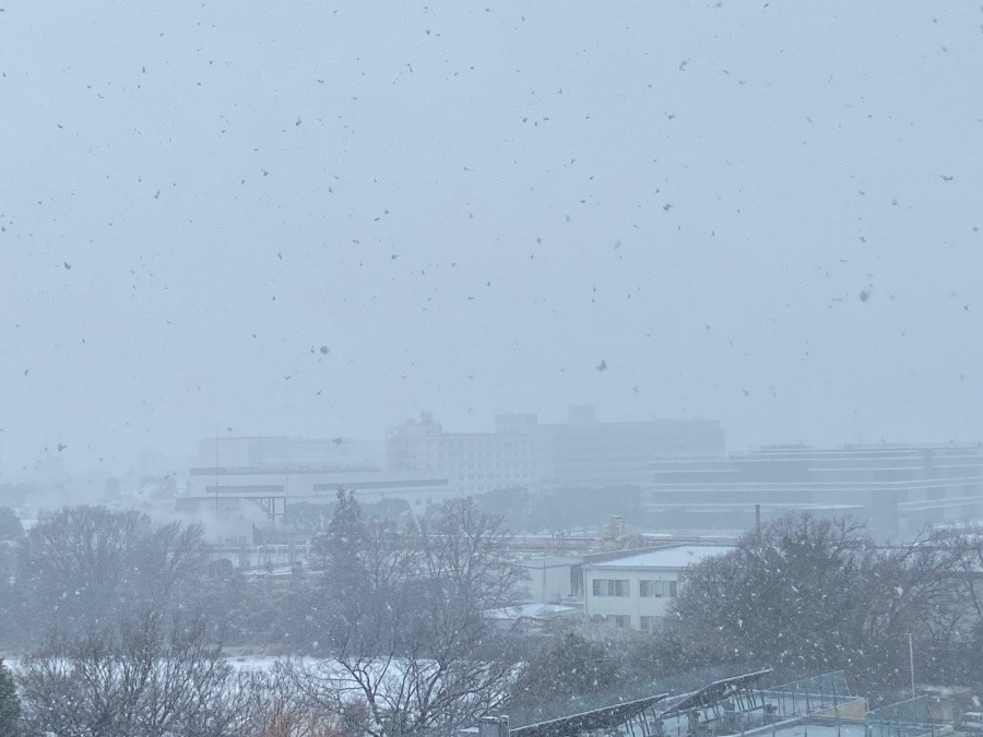 東京都小平市は、大雪になってます
