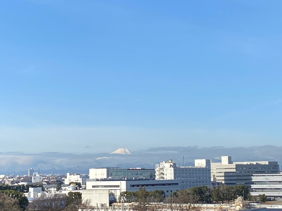 今朝の富士山2