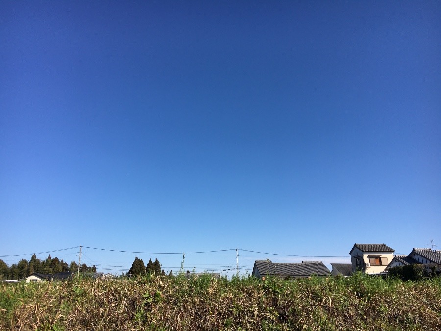 ⭕️空部→ 今日の空（≧∇≦）‼️1107.