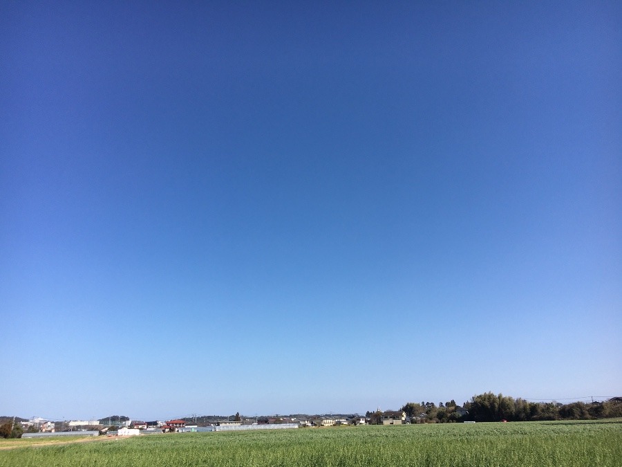 ⭕️空部→ 今日の空（≧∇≦）‼️1080.