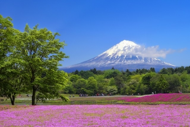 日本には世界唯一の凄い技術がある‼️ワクワクしかないですね✨