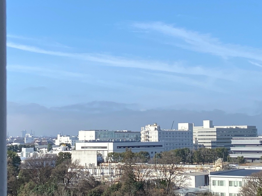 今朝の富士山