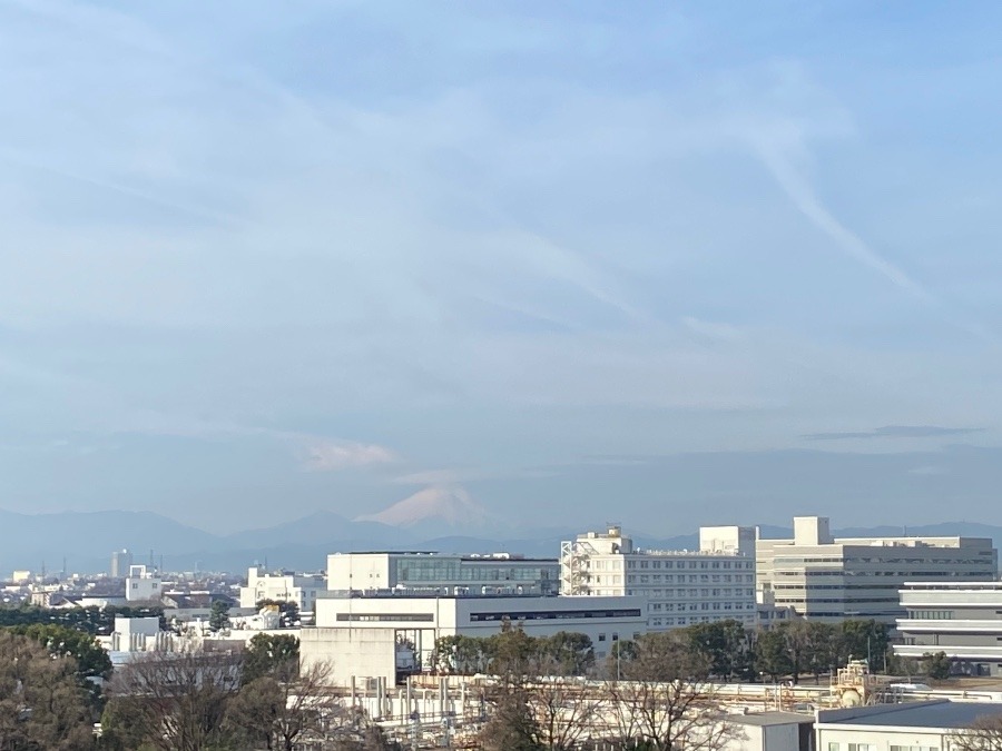 今朝の富士山