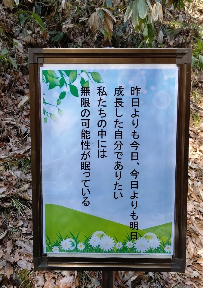 散歩で見つけた立札🍀 1