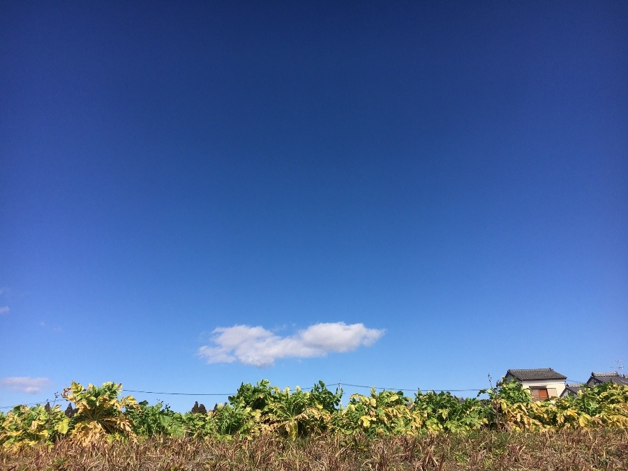 ⭕️空部→ 今日の空（≧∇≦）‼️1076.