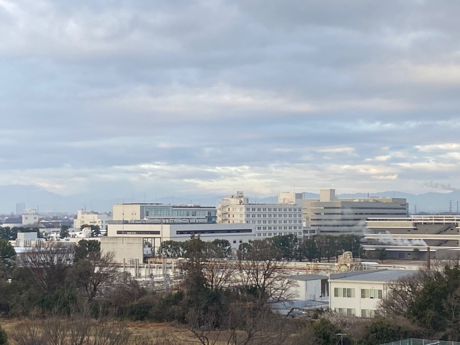 今朝の富士山