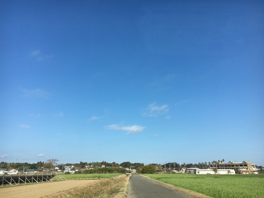 ⭕️空部→ 今日の空（≧∇≦）‼️1090.