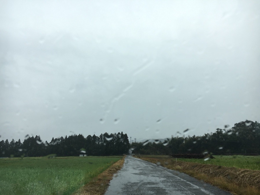 ⭕️空部→ 今日の空（≧∇≦）‼️1061.