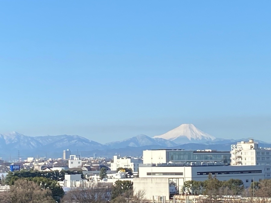 今朝の富士山