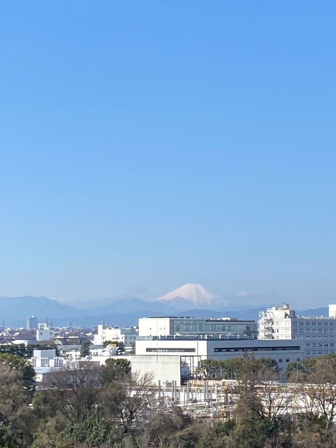 今朝の富士山