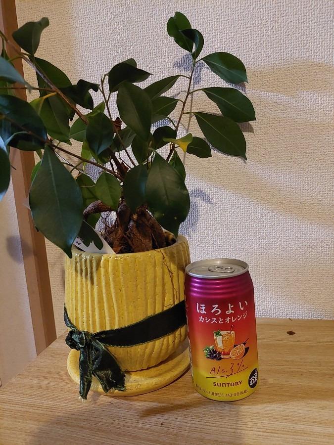 久しぶりの家飲み