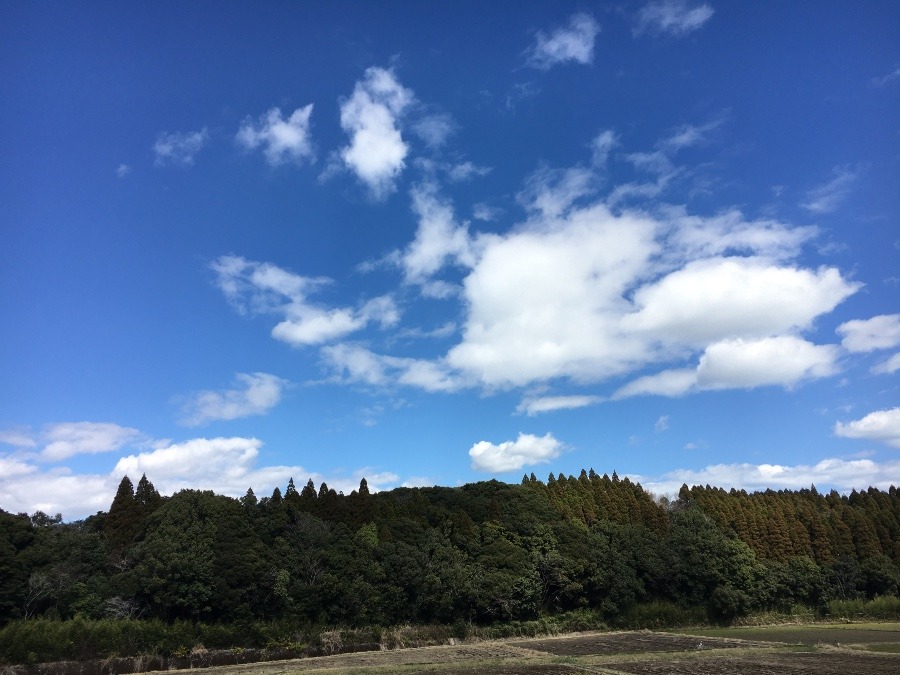 ⭕️空部→ 今日の空（≧∇≦）‼️1118.