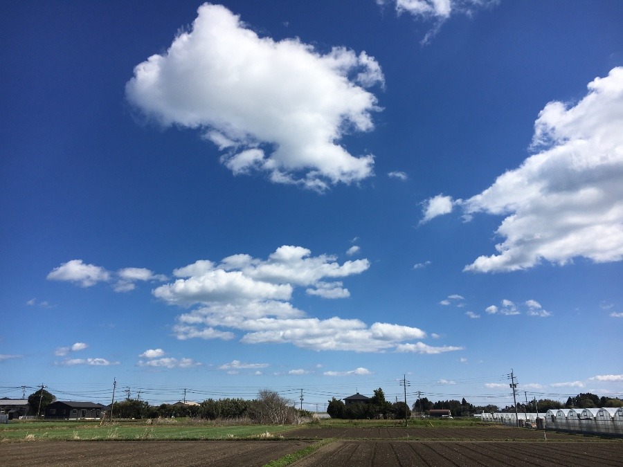 ⭕️空部→ 今日の空（≧∇≦）‼️1119.