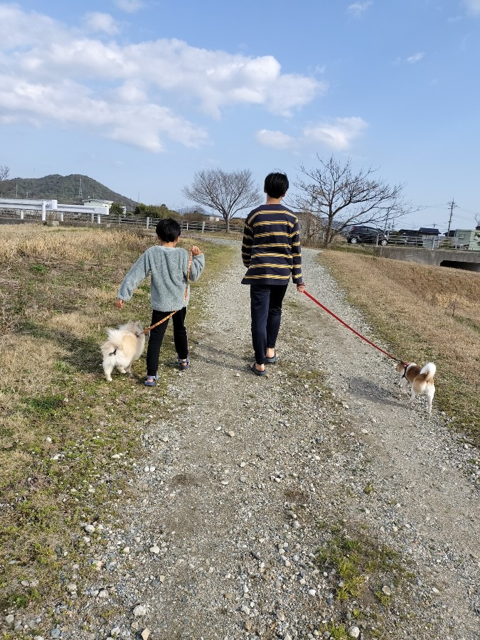 ワンコとお散歩する孫